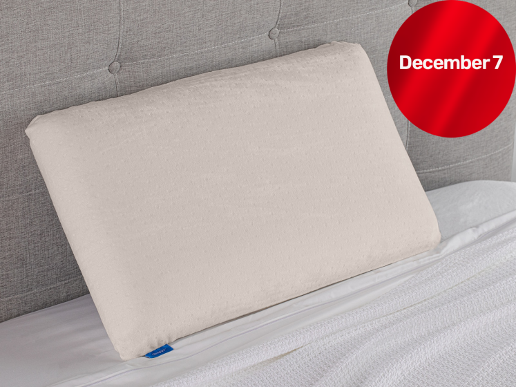Coconut bliss top pillow mattress firm